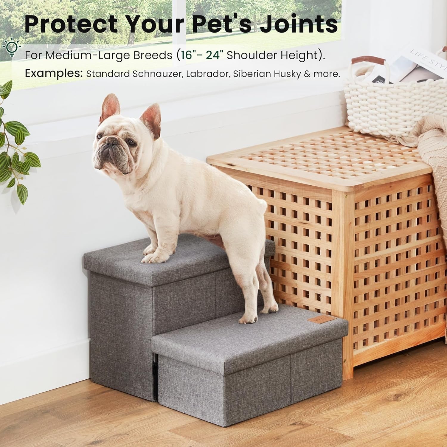 Dog Stairs with Storage 2 Step Foldable Pet Steps Ramp Grey 13" H