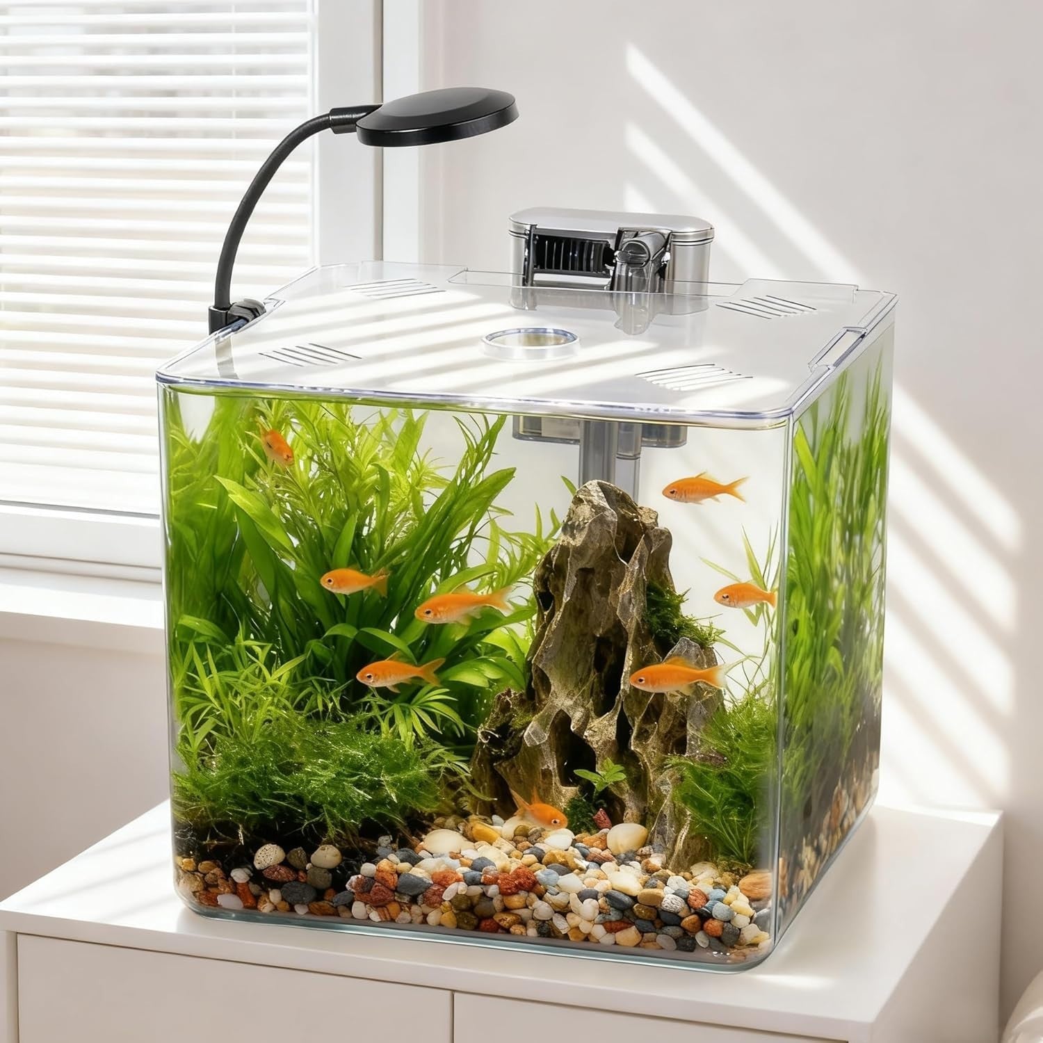 13L Mini Fish Tank Starter Kit with LED Light & USB Filter – Betta Aquarium