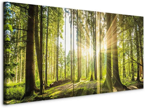 Large Forest Canvas Wall Art 5 Panel Nature Landscape Prints 100x40cm