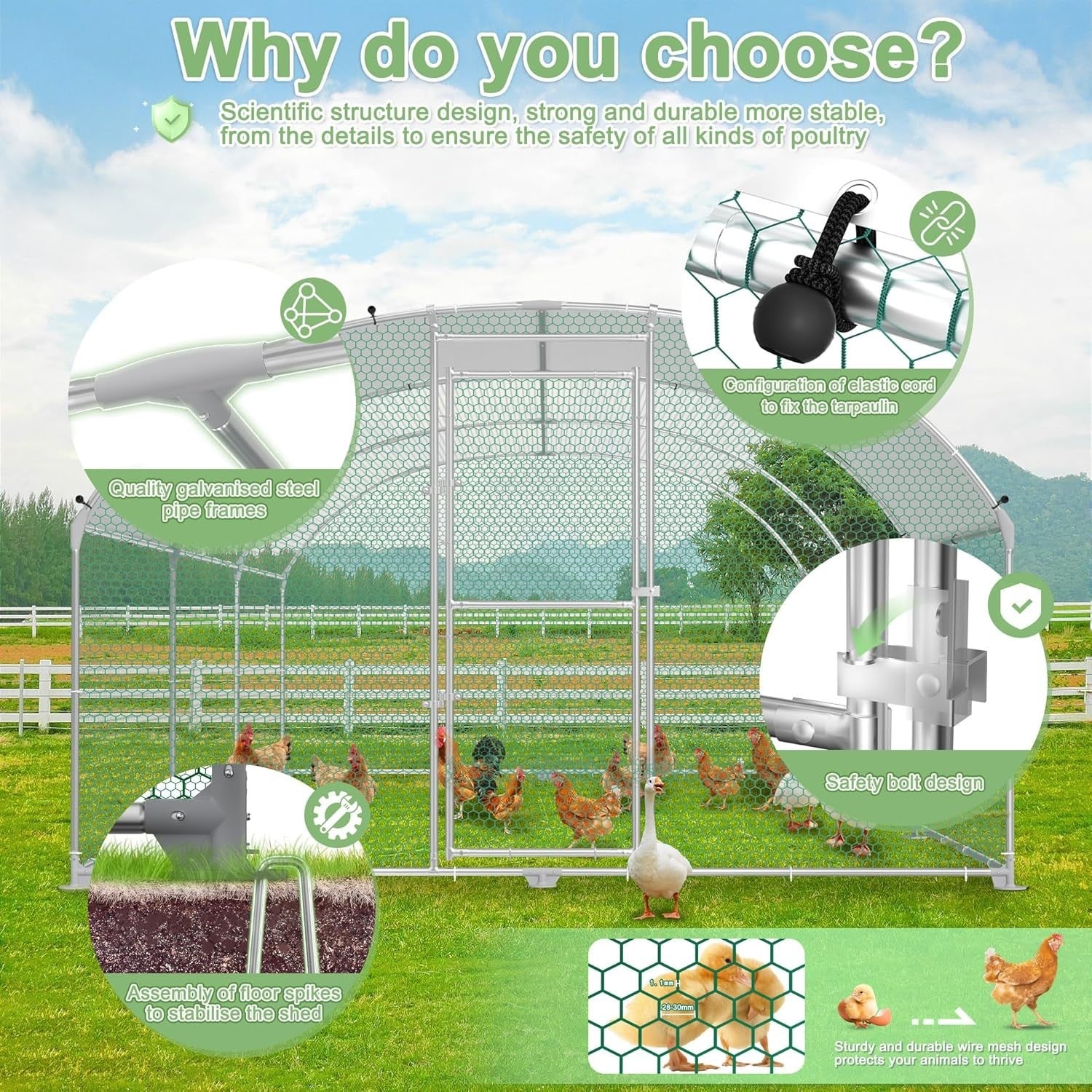 Large Walk In Chicken Run 3x2m Galvanised Metal Enclosure Roof Door
