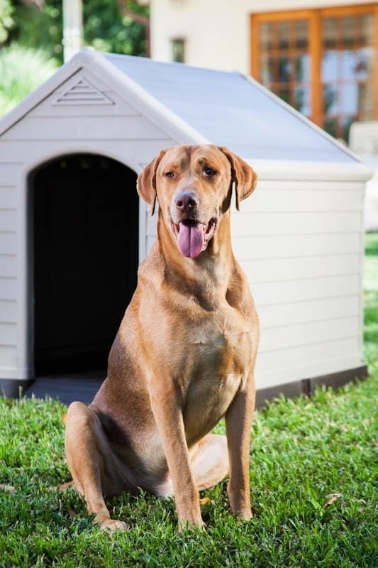 Waterproof UV Resistant Large Outdoor Dog Kennel with Ventilation 95x99x99cm