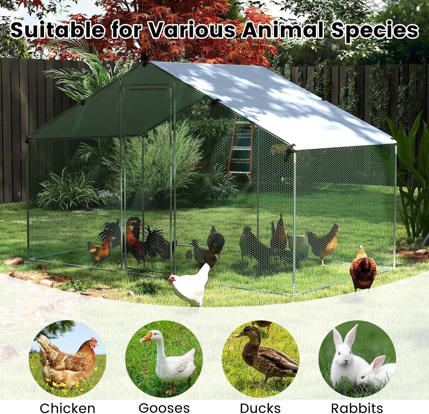 Large Walk In Chicken Coop 310x170x190cm Galvanised Run Cover Cage