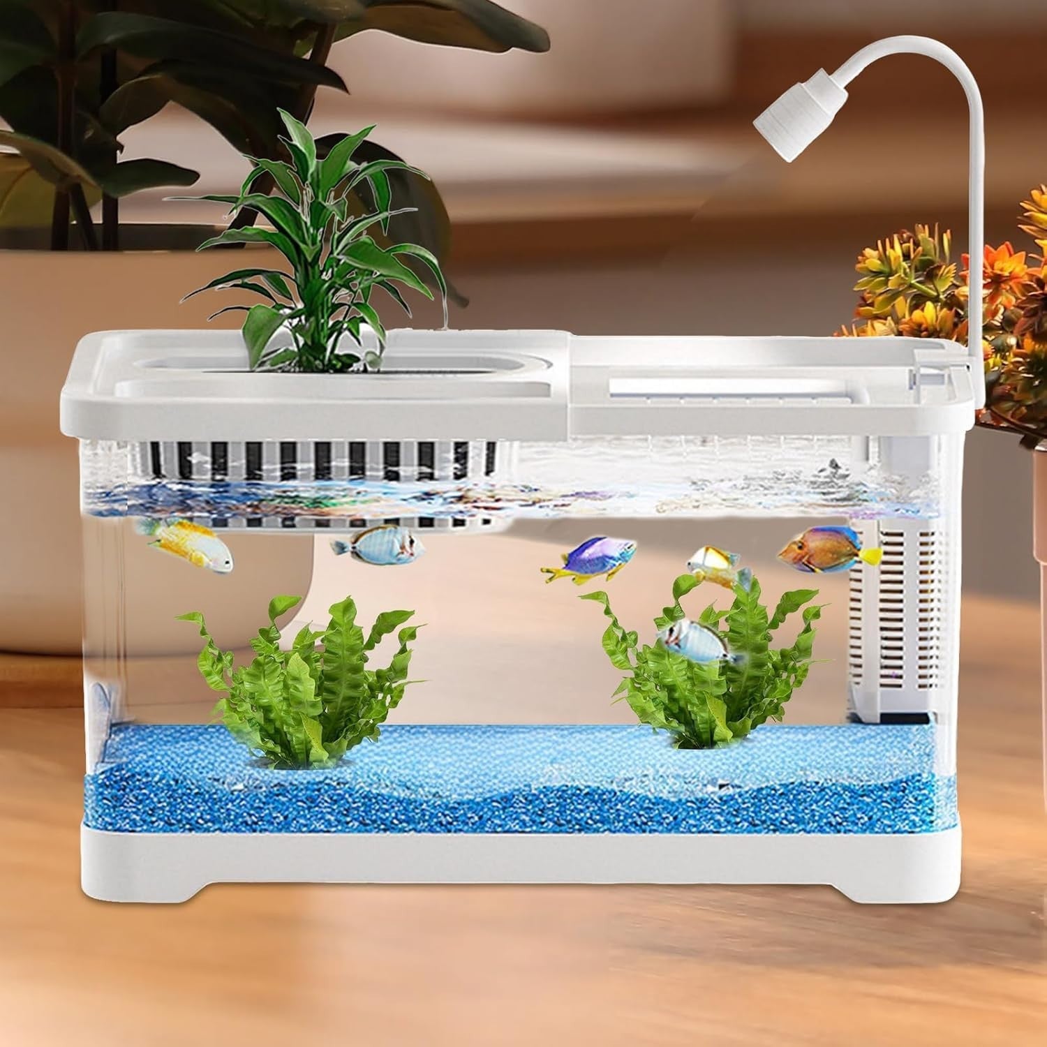 Small Betta Fish Tank with Hydroponic Basket Desktop Aquarium Kit