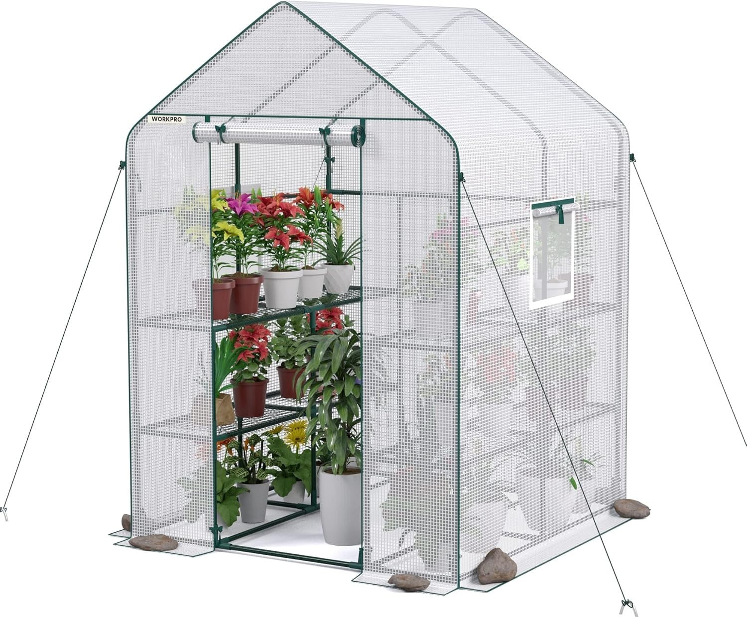 Large Walk-In Greenhouse 8 Shelves | Waterproof PE Cover | Roll-Up Door