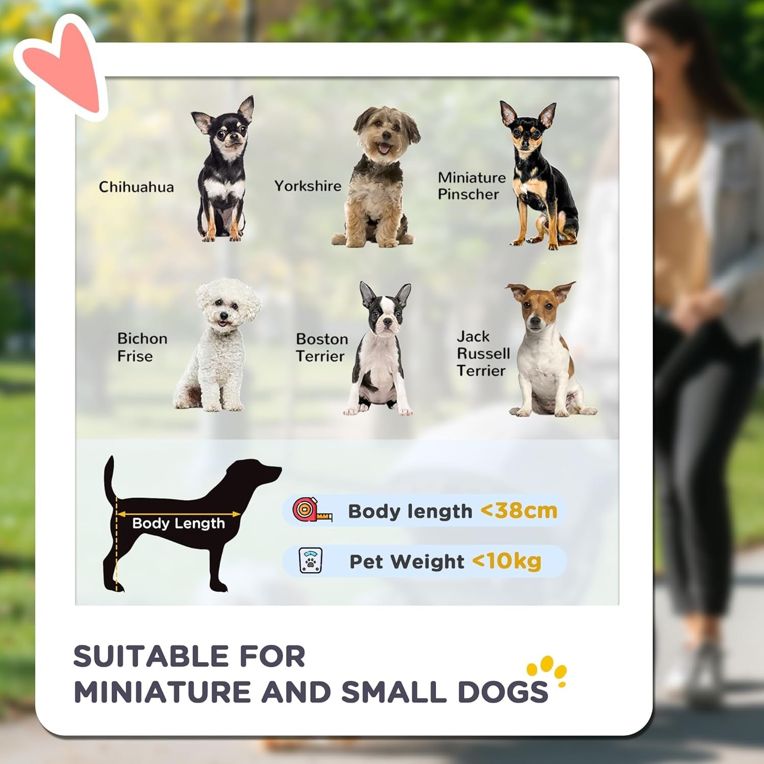 Dog Stroller with Rain Cover Foldable Pet Pushchair Small Dogs Cats