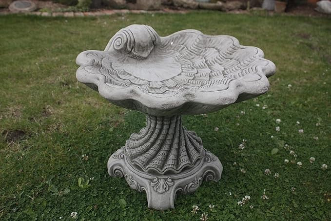Shell Design Bird Bath – Detailed Concrete Garden Ornament Outdoor Feeder