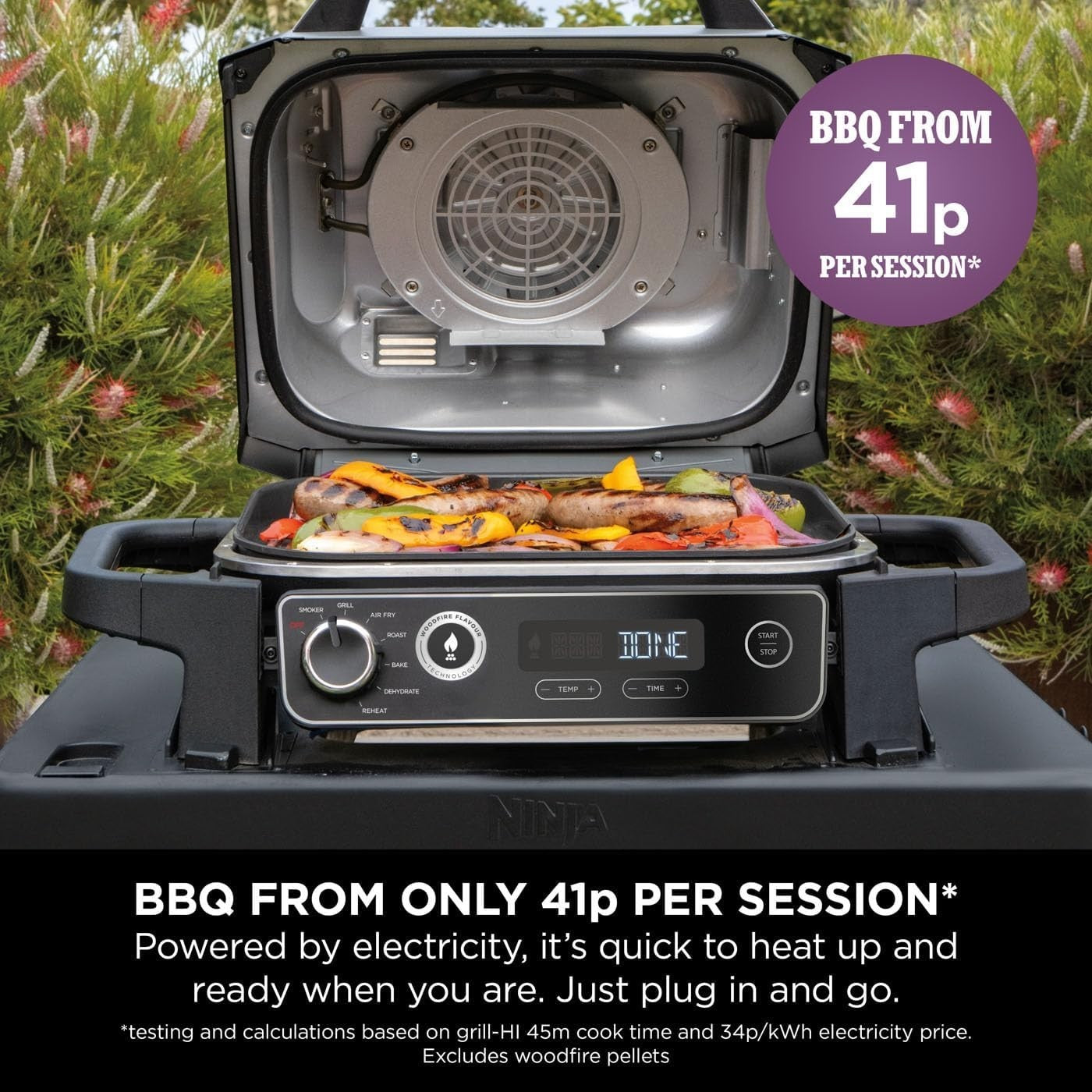 7-in-1 Electric BBQ Grill & Smoker with Air Fryer, Dehydrator & Bake Functions