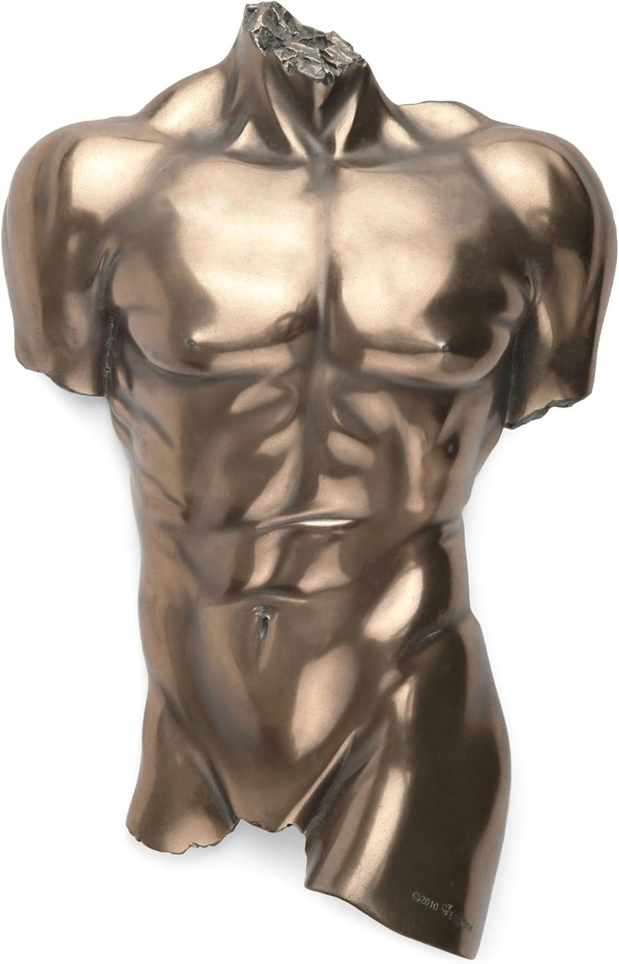Bronze Nude Male Torso Wall Sculpture Anatomy