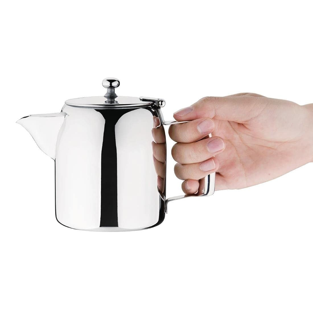 Stainless Steel Teapot 20oz Tea Pot Mirror Finish Hinged Lid Silver