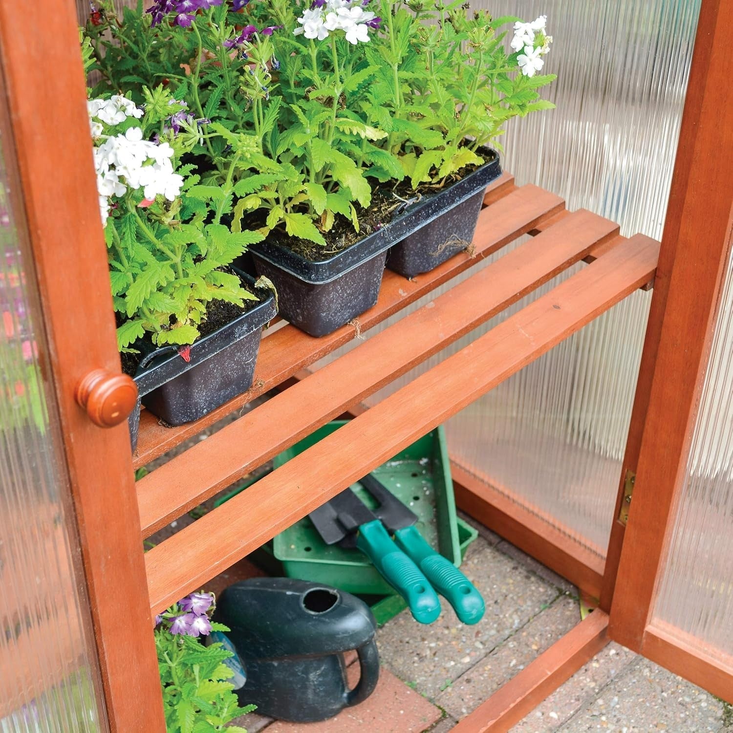 Luxury Hardwood Mini Greenhouse with Shelves & Lifting Roof 120×63×144cm