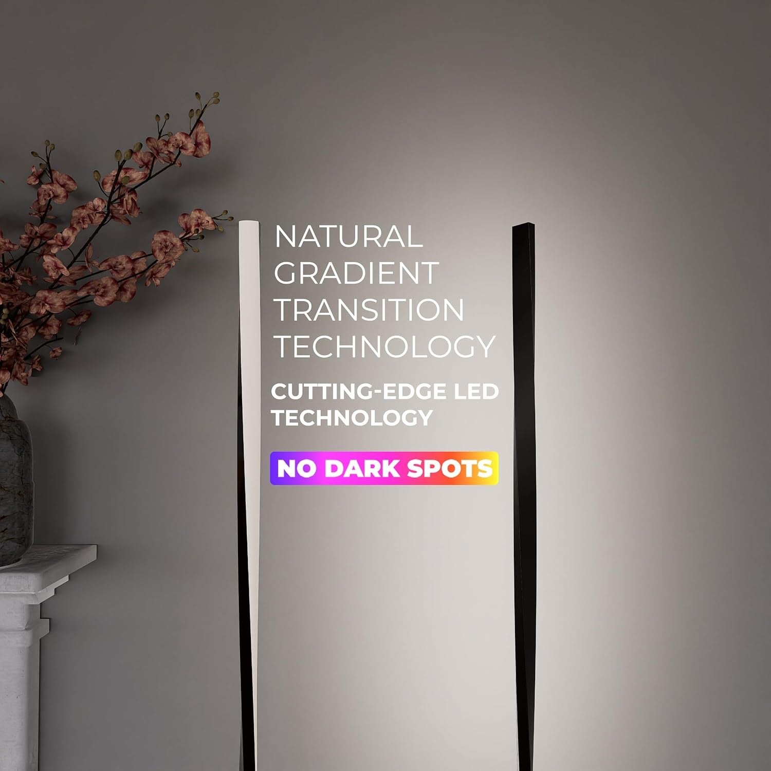 Modern LED Floor Lamp Dimmable Remote Control Standing Light Matte Black