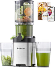 Cold Press Juicer Stainless Steel 145mm Wide Chute Auto Cutting Slow