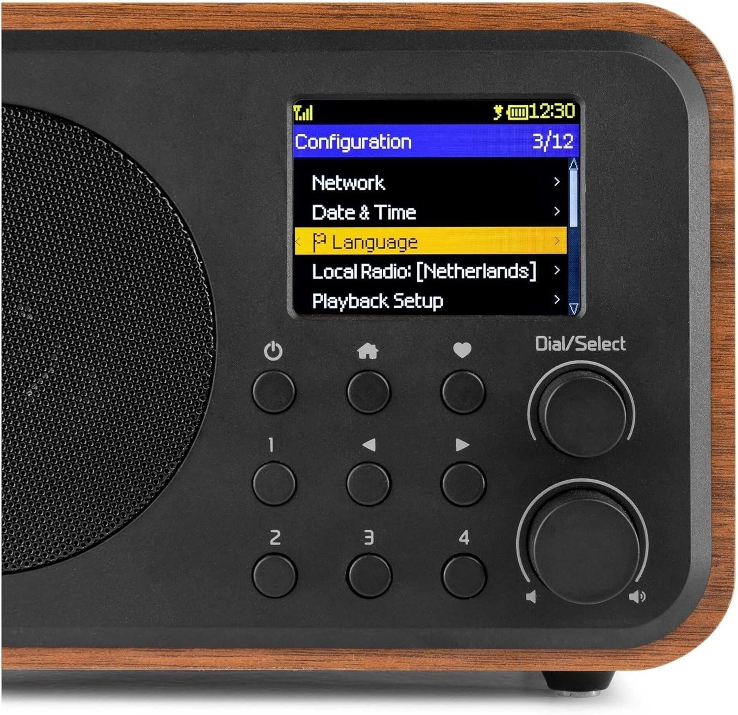 Portable DAB+/WiFi Internet Radio with Bluetooth, FM & Dual Alarm