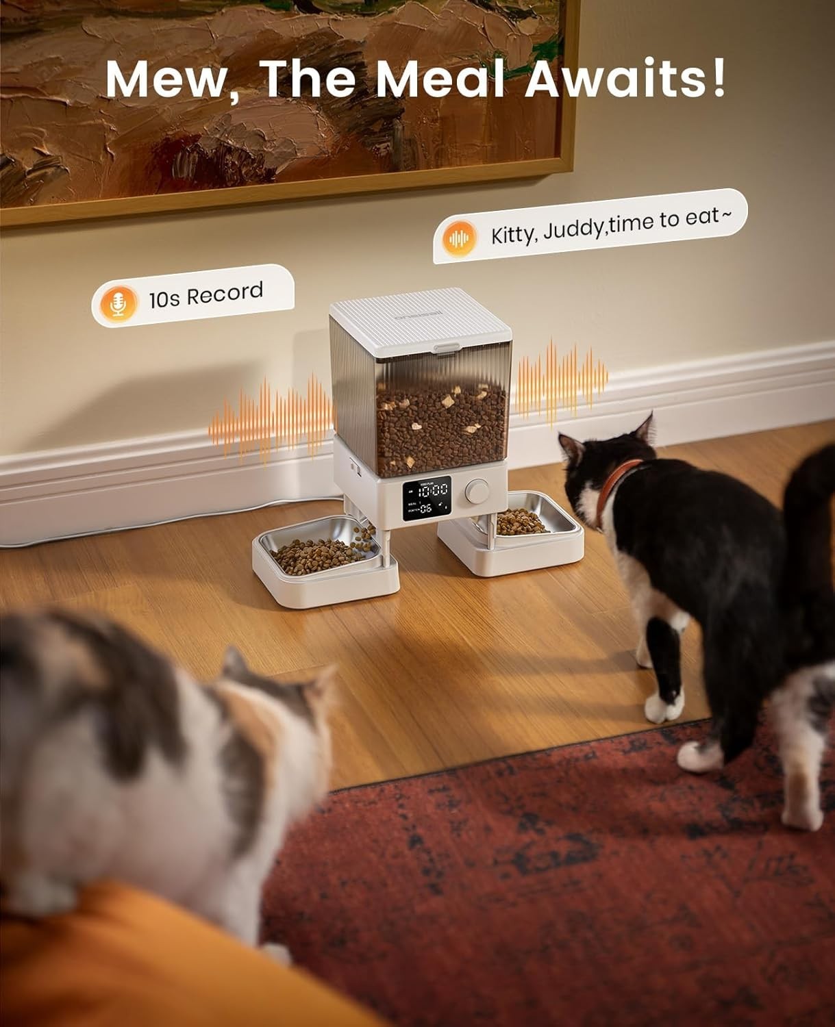 Dual Cat Feeder 5L Timed Food Dispenser Portion Control 2 Bowl