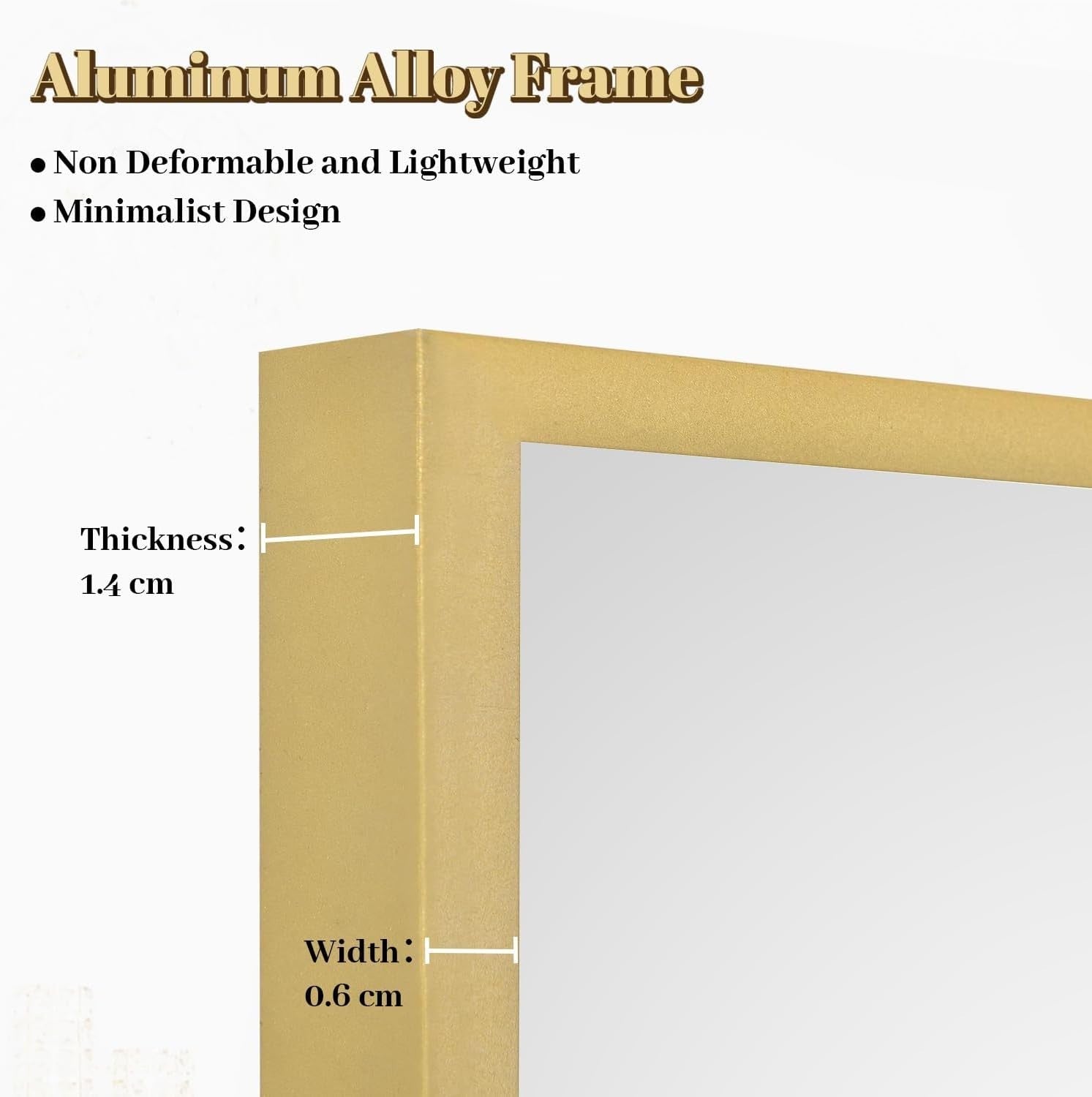 Full Length Floor Mirror 53x163cm Standing Hanging Leaning Modern Gold