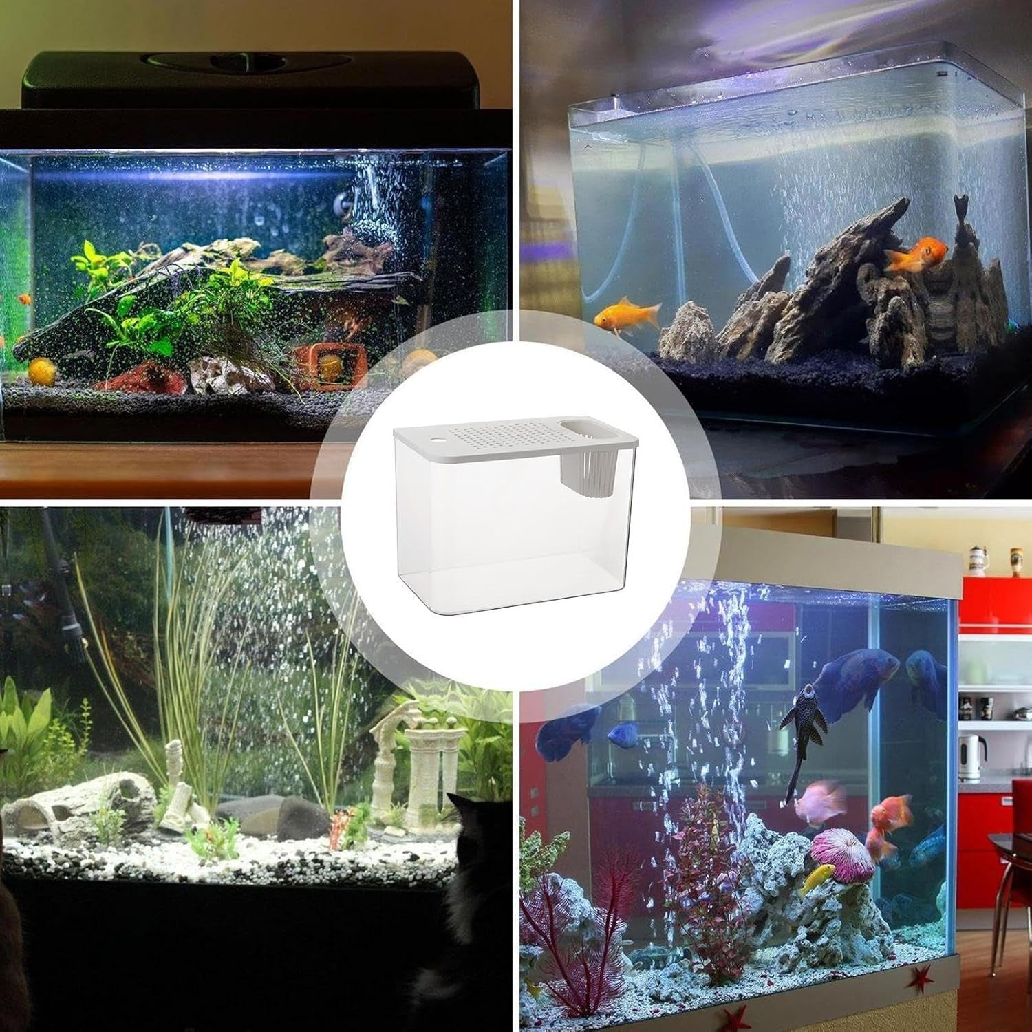 Small Fish Bowl Turtle Aquarium Habitat Compact Desktop Reptile Tank