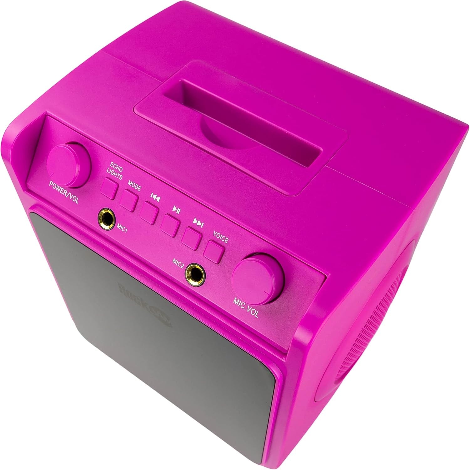 Bluetooth Karaoke Machine 10W with 2 Mics LED Light Party Speaker