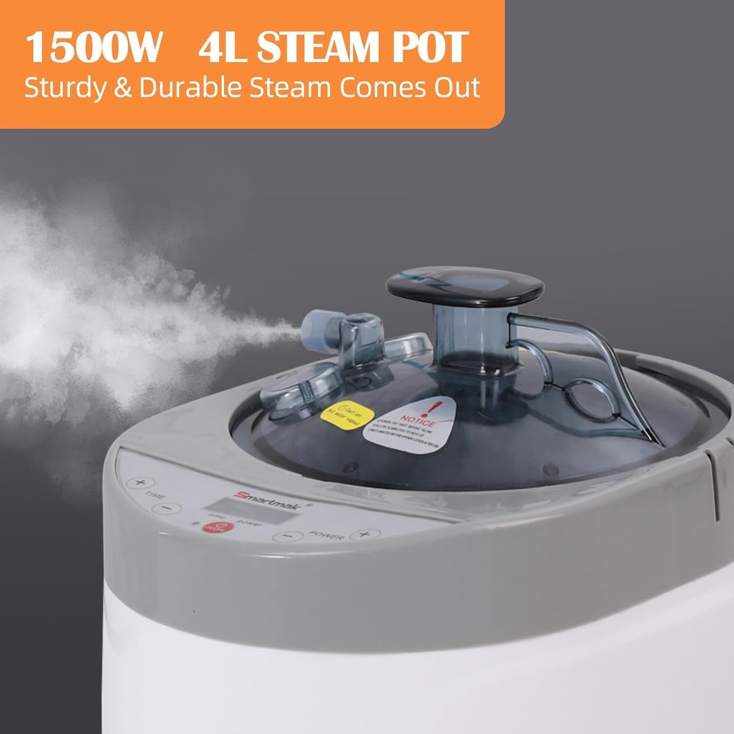 4L Portable Steam Sauna Spa Machine 1500W Remote Timer Herbal Detox Body Therapy