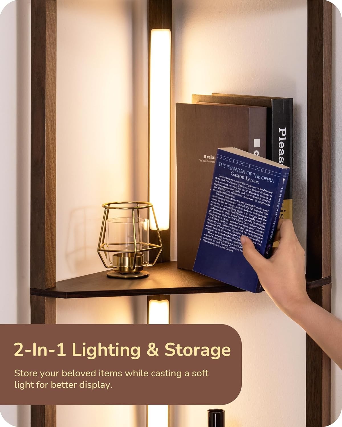 LED Floor Lamp with Shelves Dimmable Corner Standing Display Light