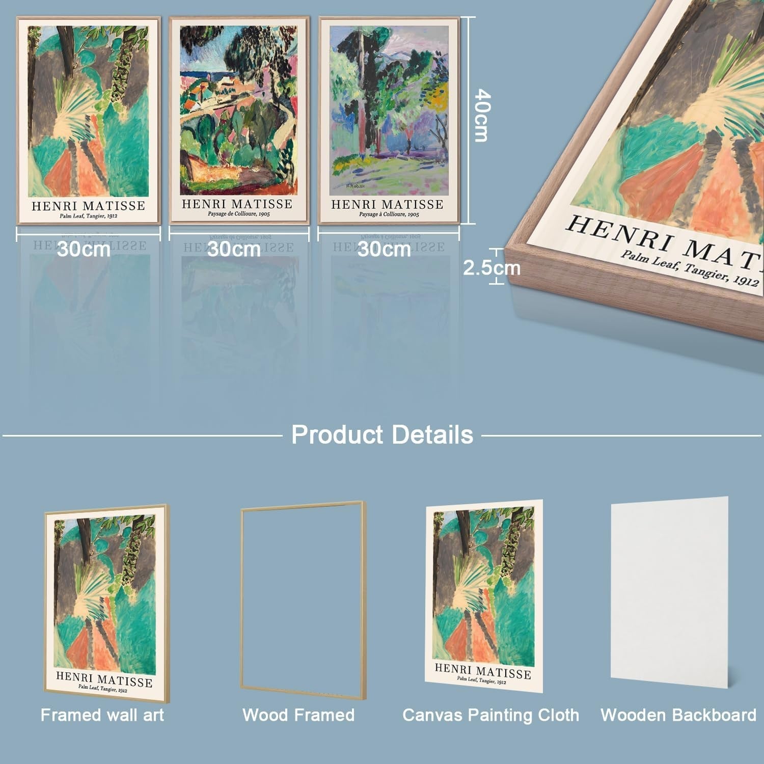 Matisse Style Framed Wall Art Set of 3 30x40cm Abstract