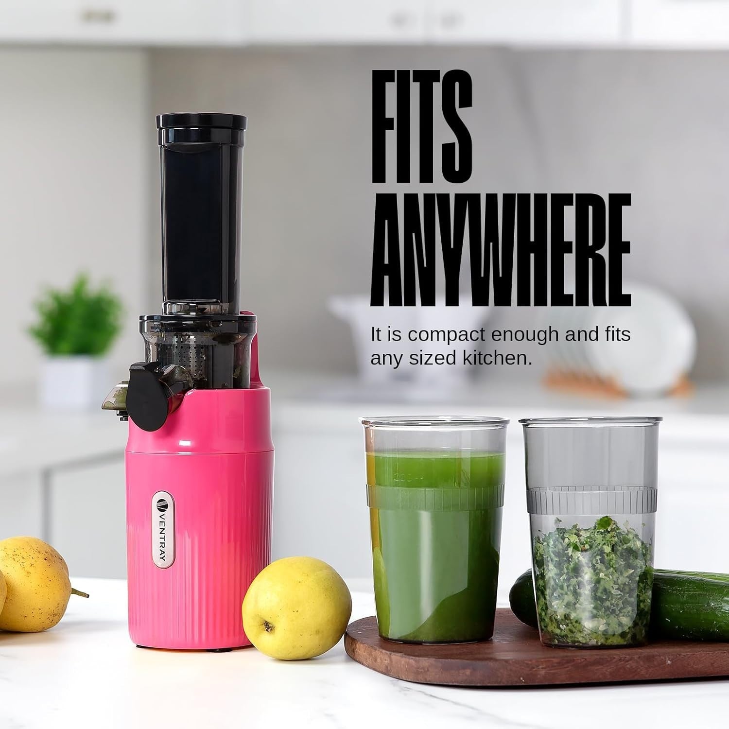 Mini Cold Press Juicer Slow Masticating 60RPM Compact Portable