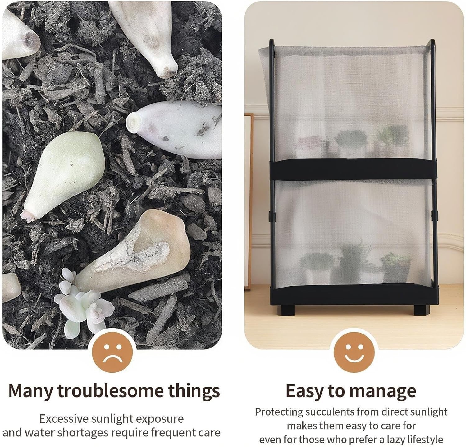 Mini Indoor Greenhouse Mesh Cover Plant Shelter Raised Succulent Grow Box