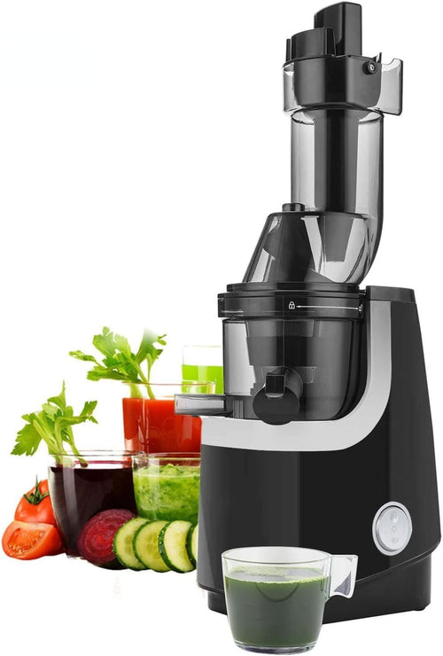 Cold Press Juicer Slow Masticating Quiet Motor Reverse Easy Clean 200W