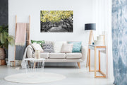Black White Yellow Blossom Canvas Wall Art Modern Home Decor Large Print