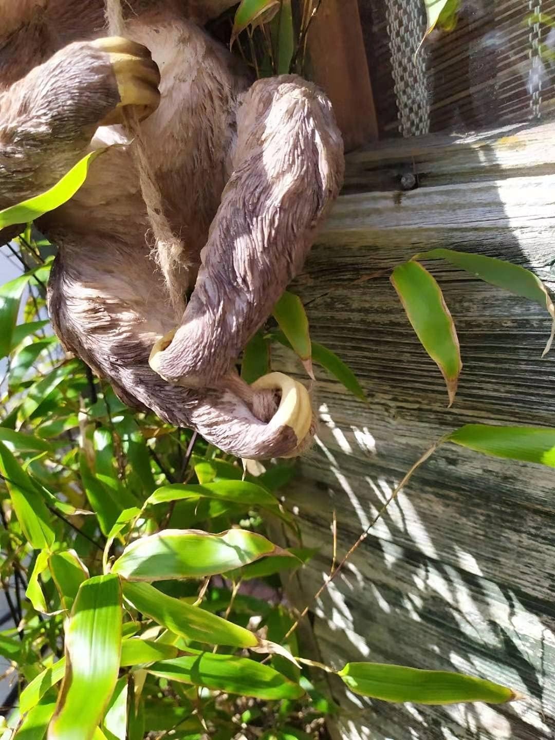 Climbing Sloth Garden Ornament on Rope – 30cm Weatherproof Resin Outdoor Decor