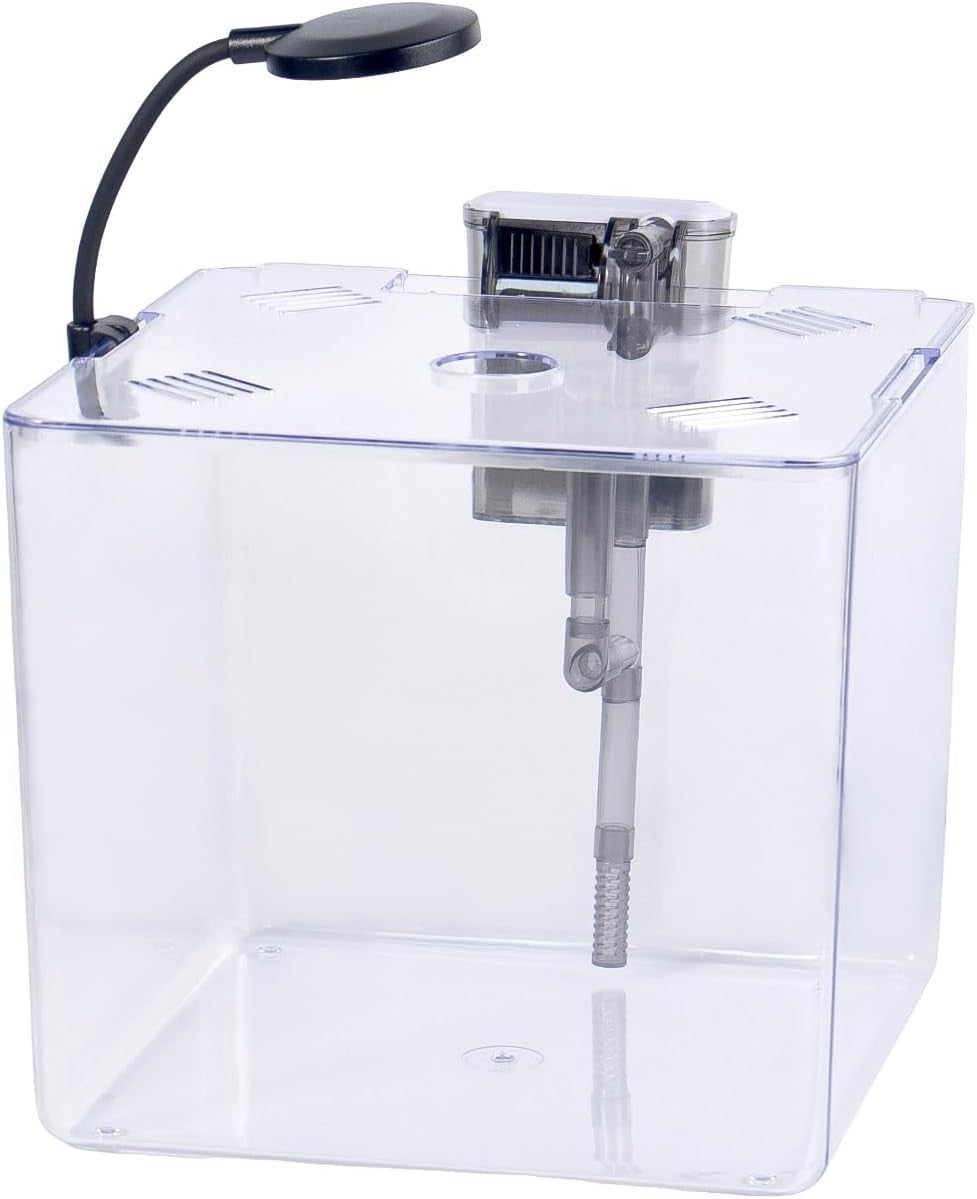 13L Mini Fish Tank Starter Kit with LED Light & USB Filter – Betta Aquarium
