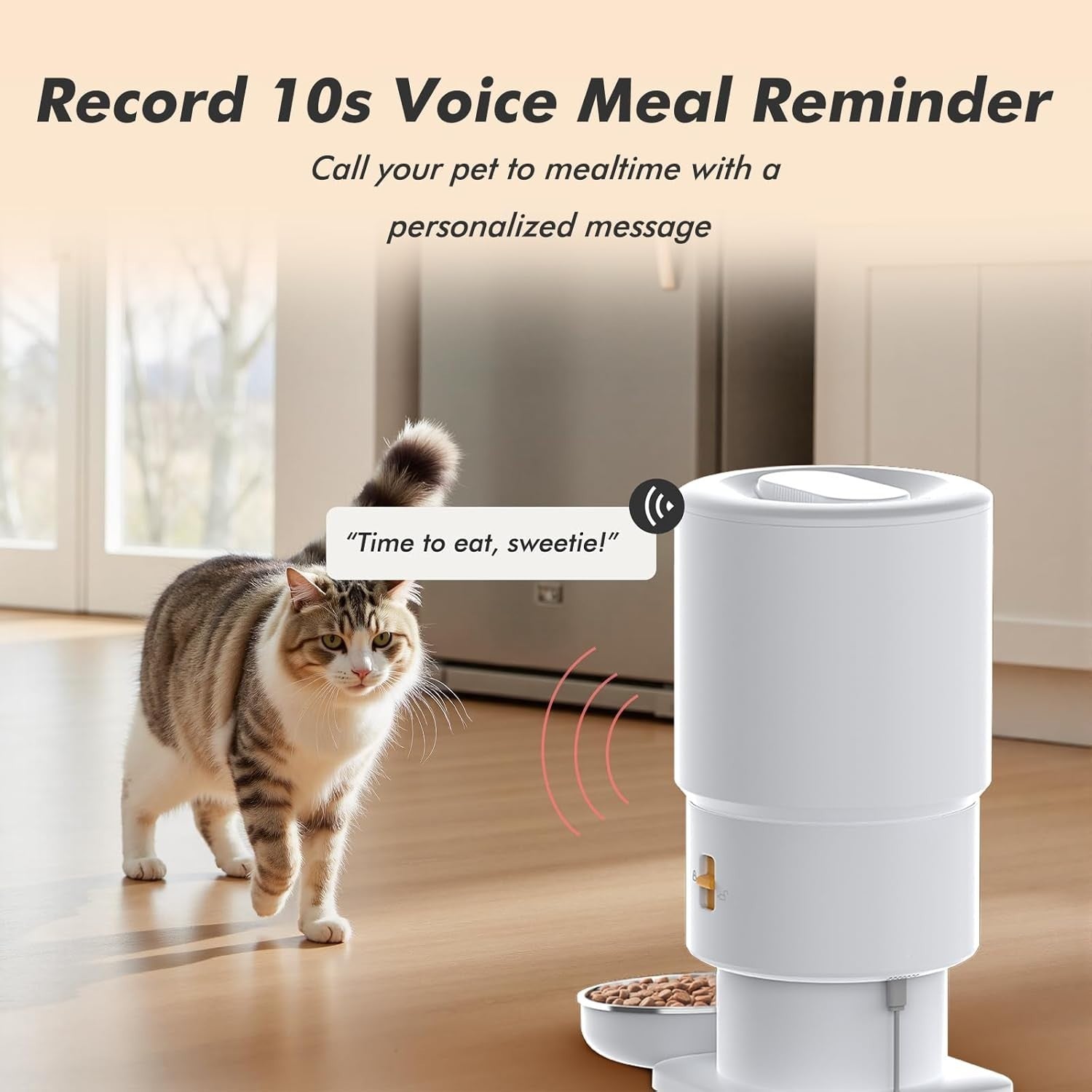 Automatic Cat Feeder 5L Timed Food Dispenser 6 Meals Voice Recorder