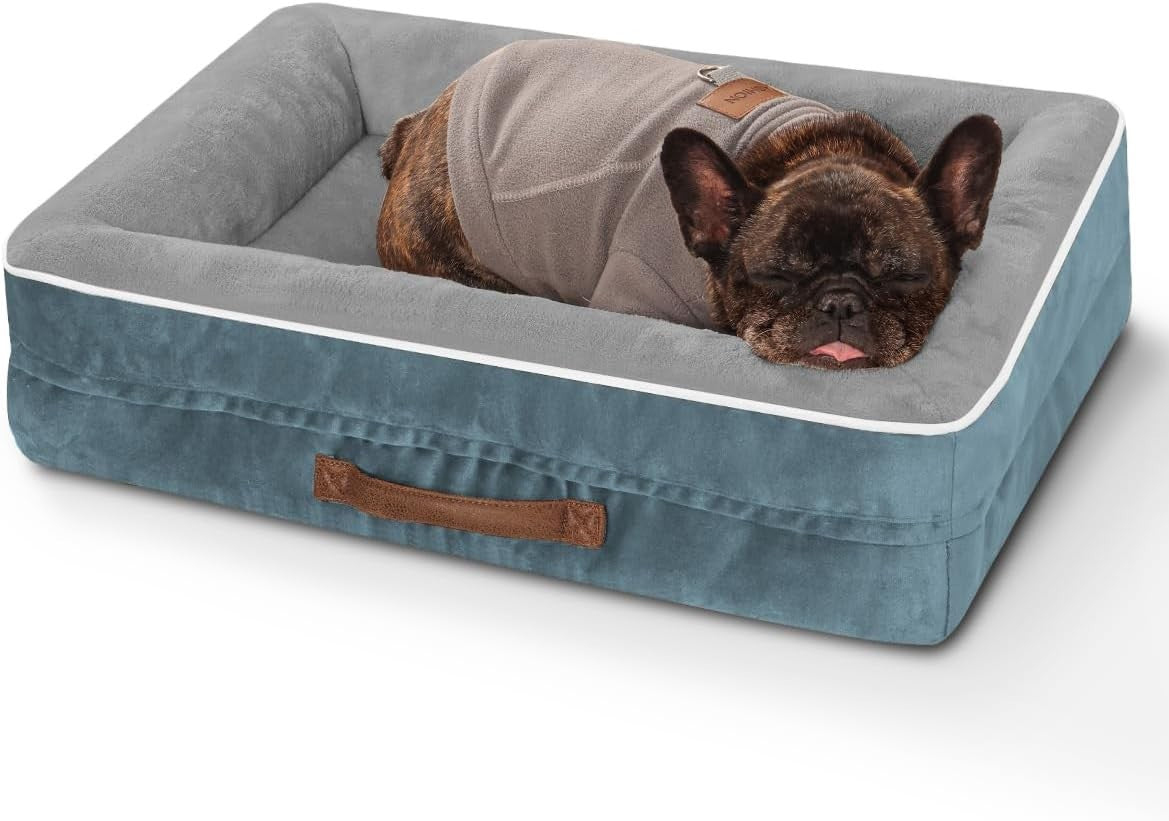 Orthopedic Cat & Small Dog Bed 61x46cm Waterproof Blue