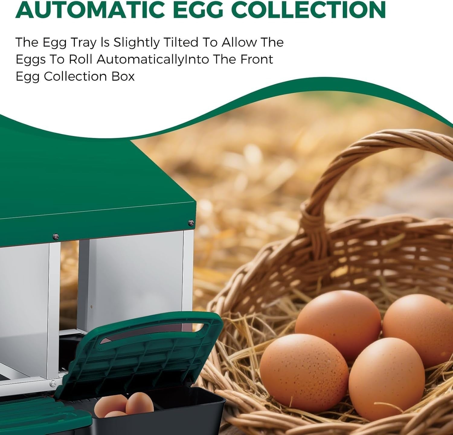2 Tier 4 Chamber Metal Chicken Nesting Box Pull Out Tray