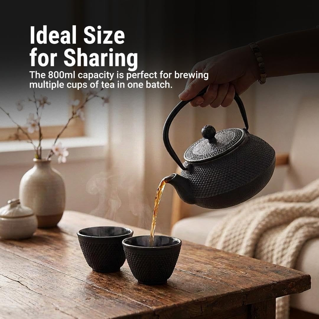 Cast Iron Teapot Set 800ml Japanese Tea Set Infuser Cups Trivet Black