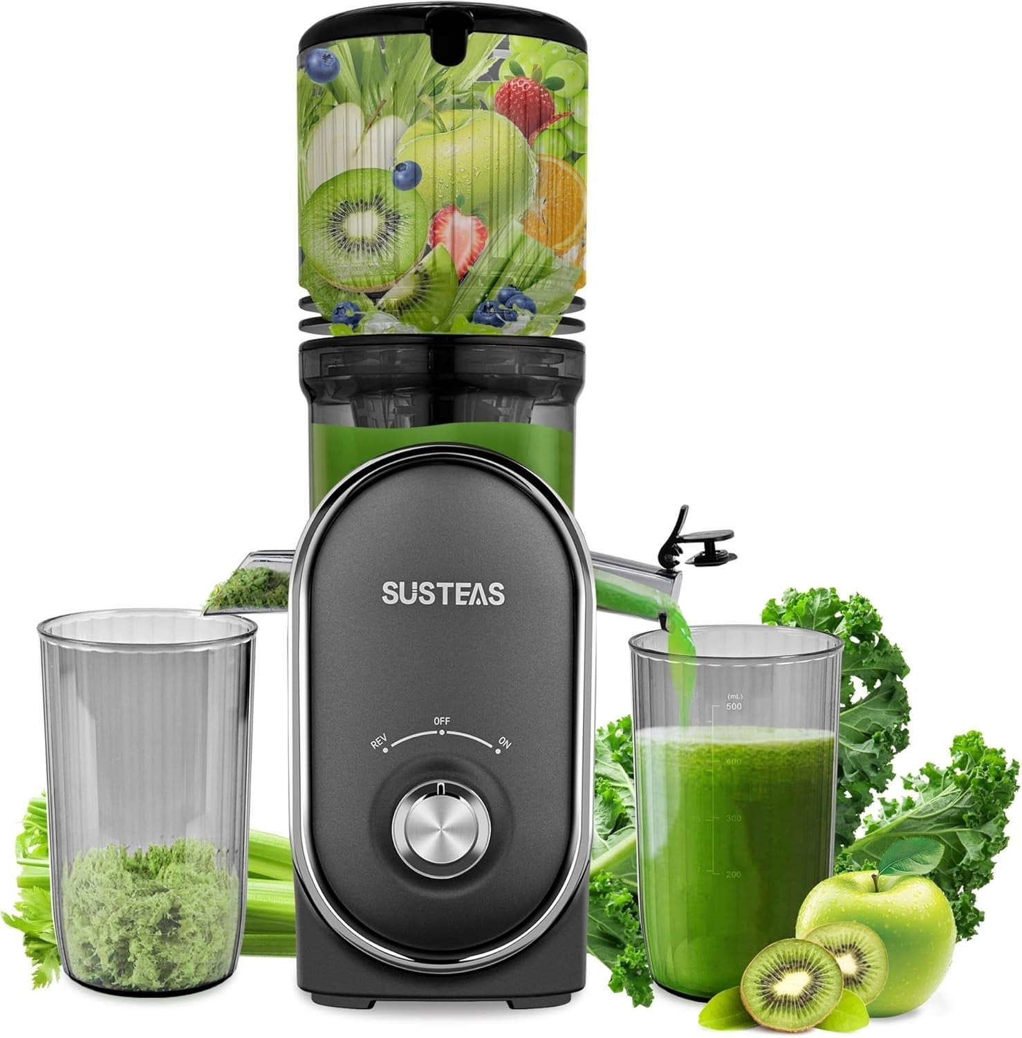 Slow Cold Press Juicer 300W 5.3in Feed Chute Whole Fruit High Yield