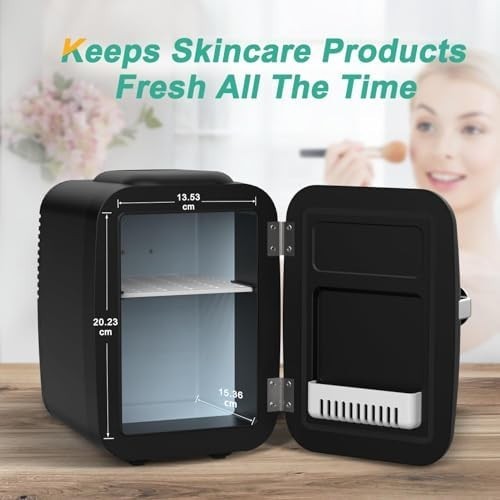 Portable Mini Fridge 4L Cooler & Warmer for Bedroom Office Car