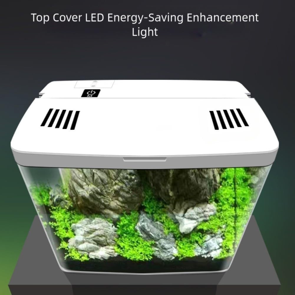 Acrylic Desktop Fish Tank LED Lighting Three-Layer Filter for Small Fish
