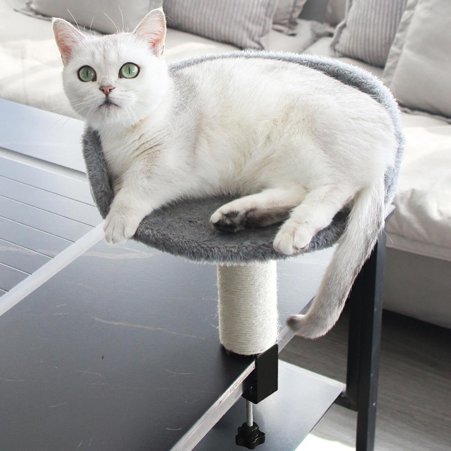 Clamp On Cat Desk Bed Plush Kitty Perch w/ Sisal Scratching Post