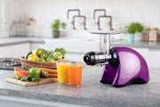 Cold Press Juicer Low RPM Nutrient Rich Easy Clean Multi Function 200W