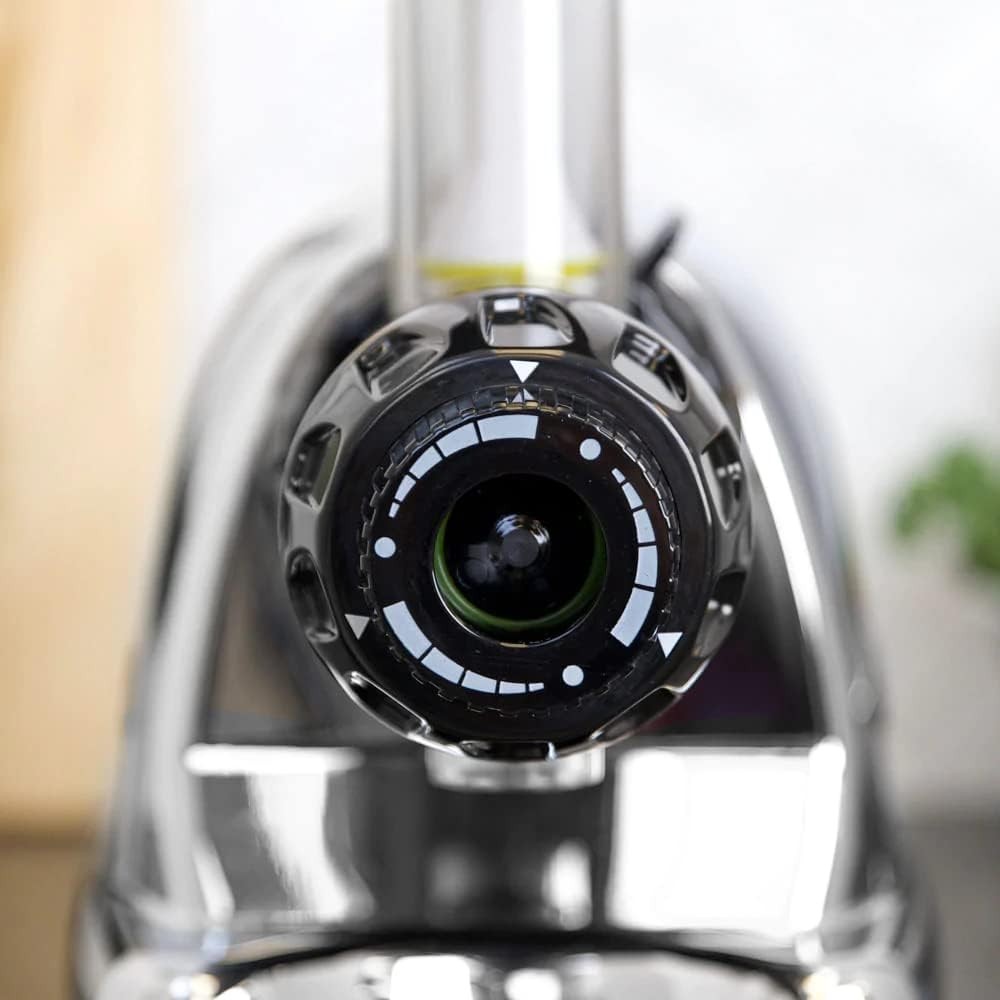 Triple Stage Cold Press Juicer 80RPM Nutrition System High Yield Chrome