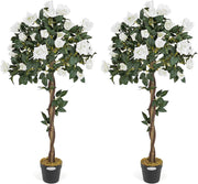 4ft Artificial Cream Rose Trees 2-Pack Twisted Trunk Potted Indoor Outdoor Decor