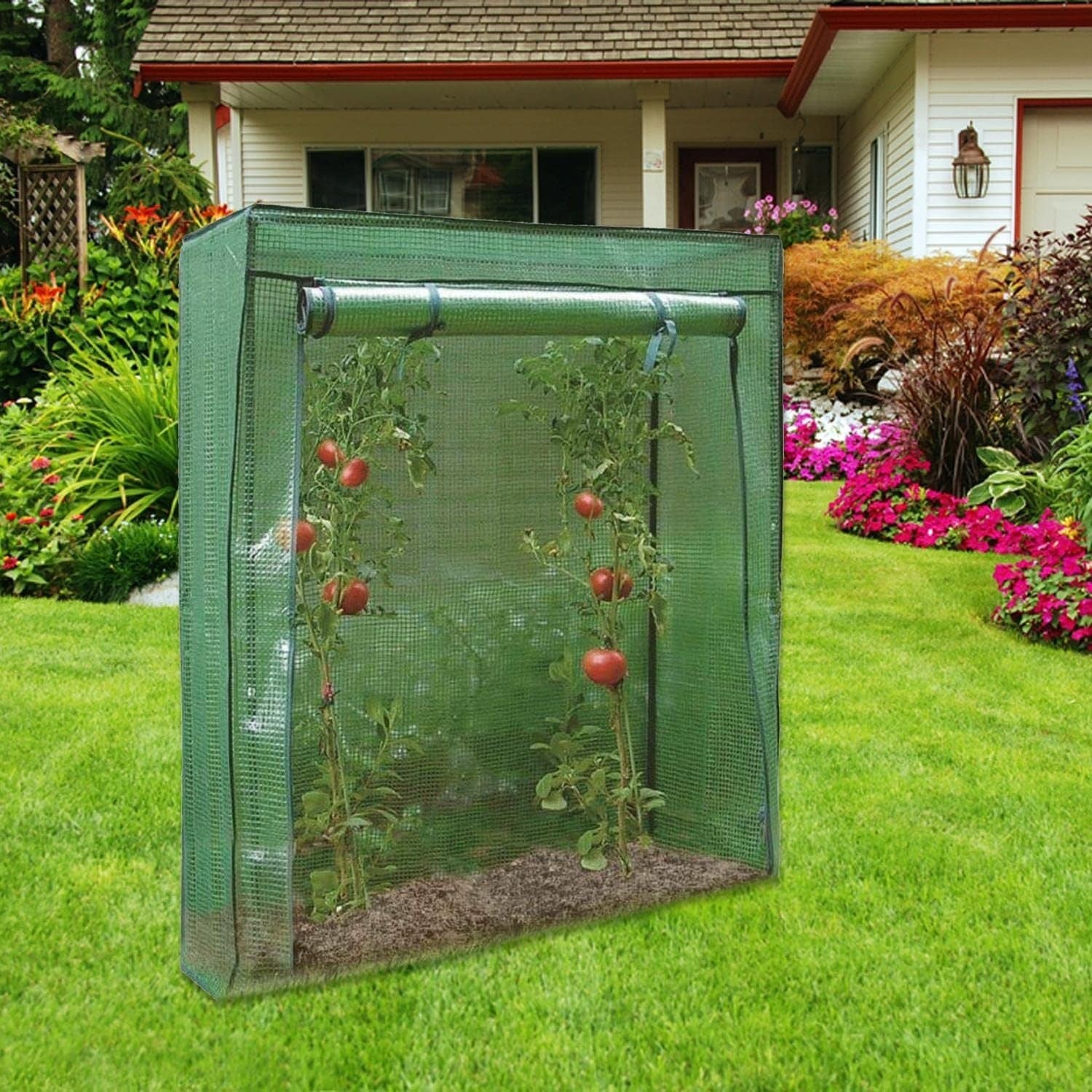 Tomato Greenhouse Reinforced Frame Roll-Up Door Weatherproof 152x101x152cm