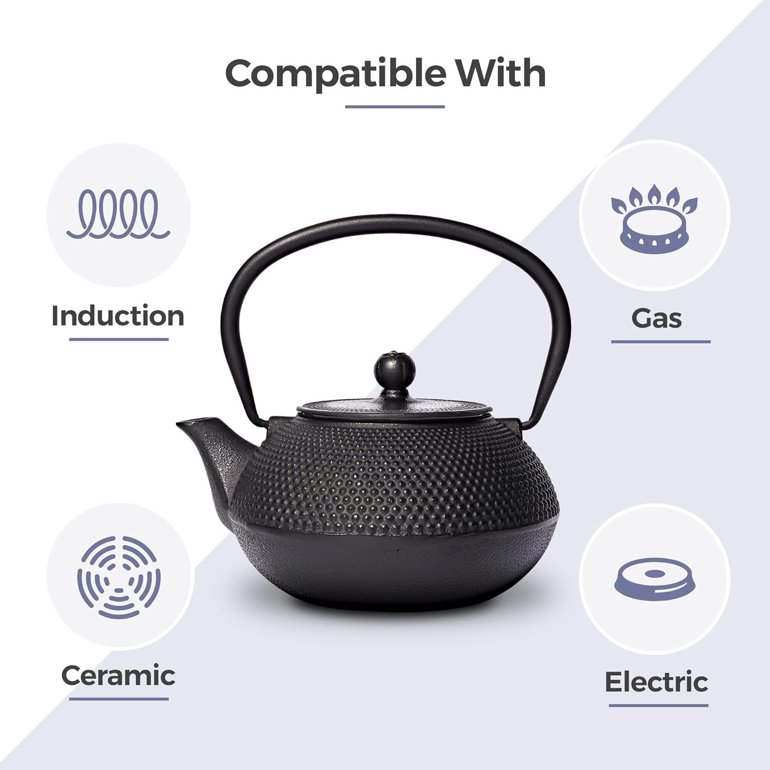 Cast Iron Teapot 650ml Chinese Tetsubin Tea Pot w Infuser Black Hobnail
