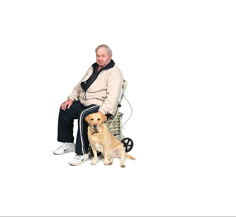 Shopping Trolley With Seat 4 Wheel Rollator Cart Brake System Black