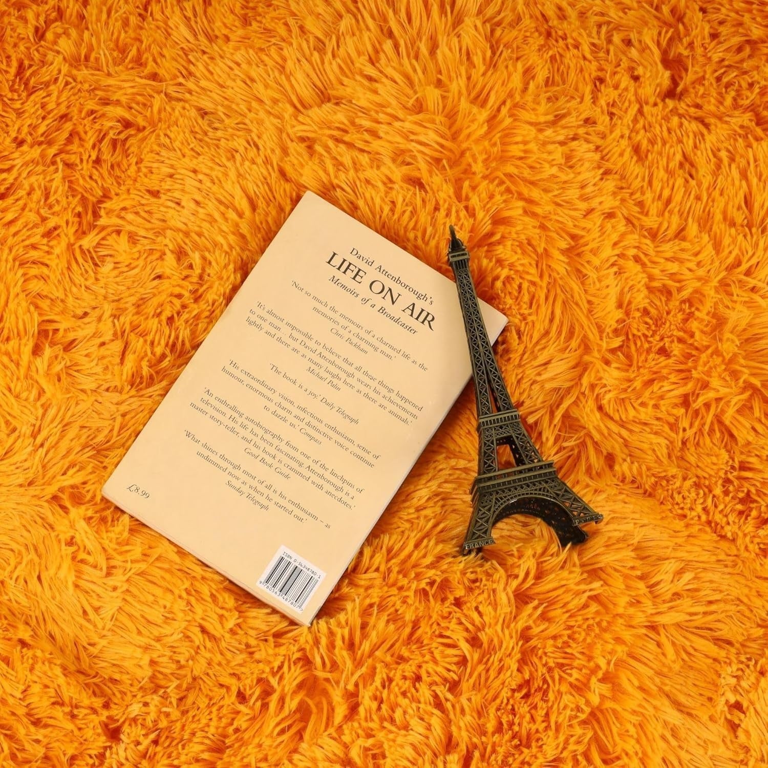 Large Shaggy Rug 200x290cm Ochre Soft Fluffy Thick Pile Non Slip Bedroom Carpet
