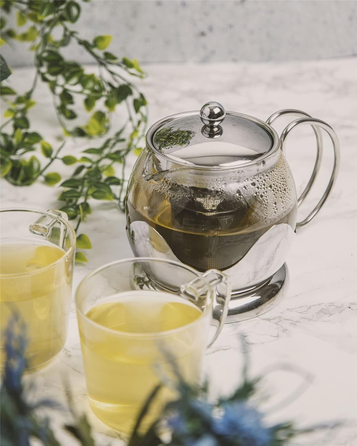 Glass Teapot with Removable Infuser 660ml Borosilicate Tea Pot