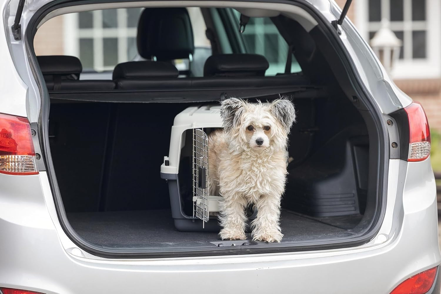 Lockable Front-Load Pet Travel Crate IATA Approved 61x40x40cm Portable