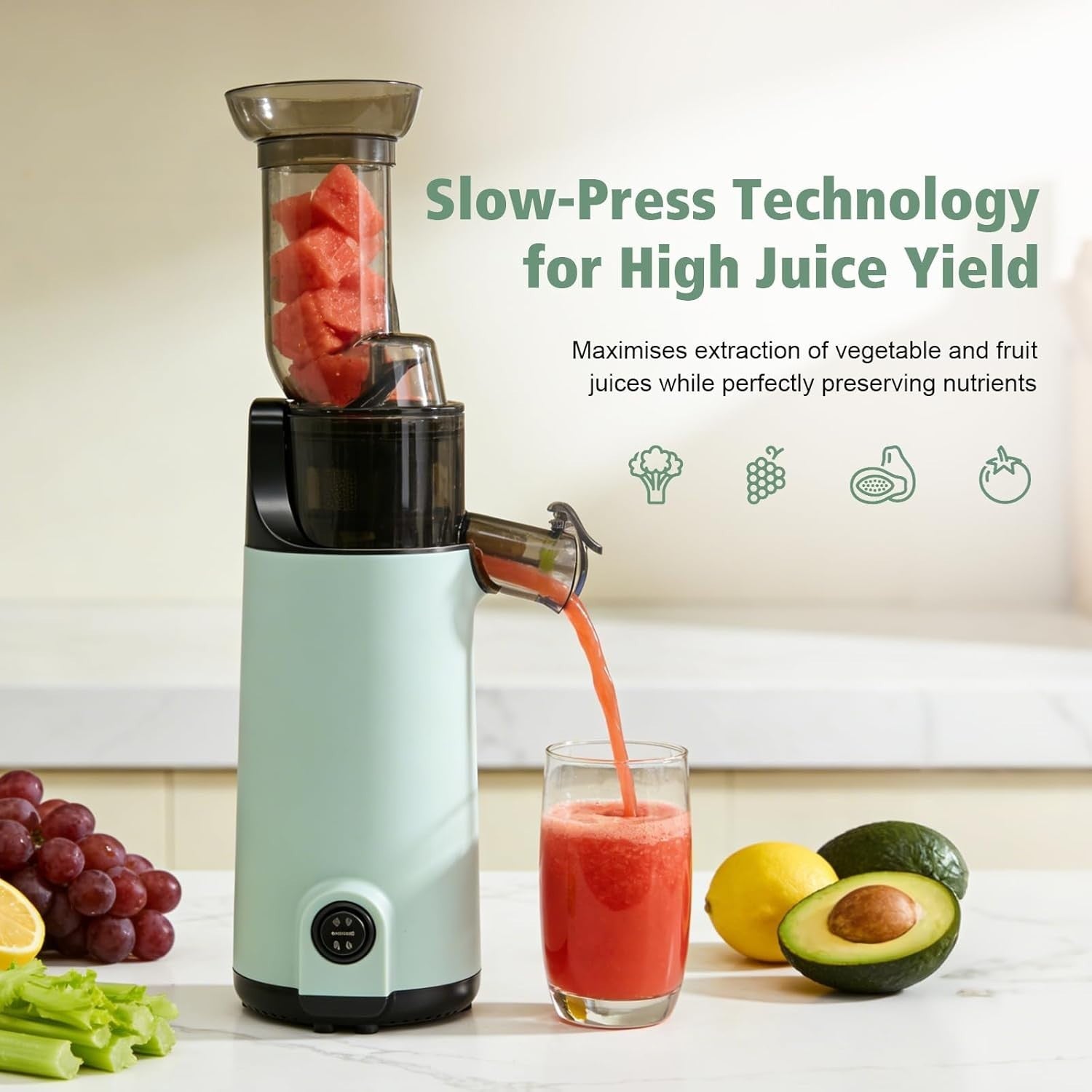 Compact Cold Press Juicer Slow Masticating High Yield Easy Clean