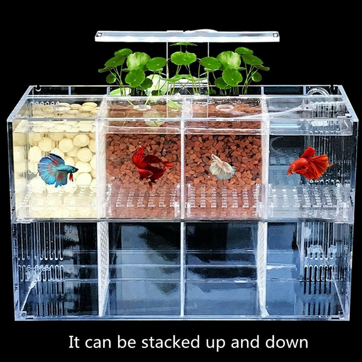 Mini Acrylic Fish Tank with LED Light & Water Pump Desktop Aquarium