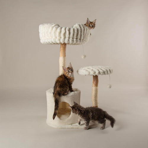Large Cat Scratching Tree Tower with Condo Perch Hammock Plush Platforms